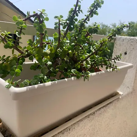 Costa Trabocchi Sul Mare 福萨切西亚