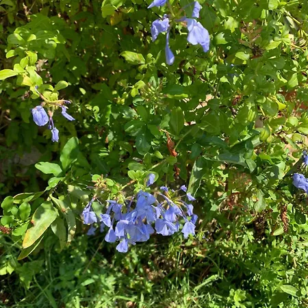 Costa Trabocchi Sul Mare