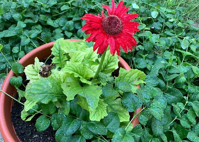 Costa Trabocchi Sul Mare Apartman Fossacesia