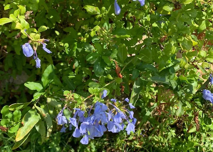 Costa Trabocchi Sul Mare