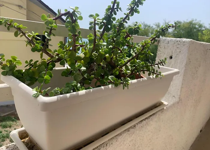 Costa Trabocchi Sul Mare Fossacesia